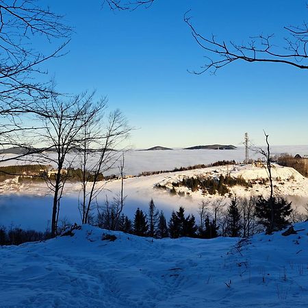 Great Apartment Winterberg Woods Medebach Luaran gambar