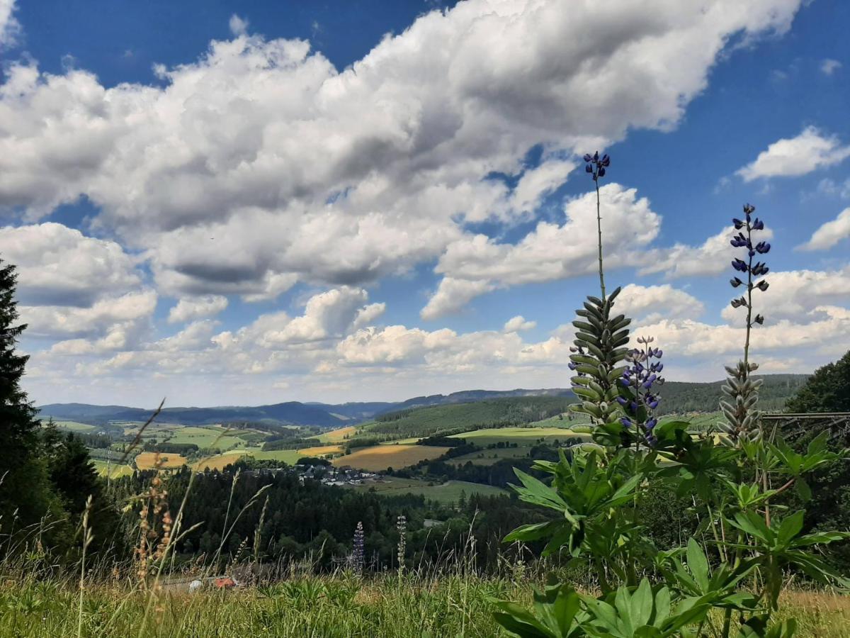 Great Apartment Winterberg Woods Medebach Luaran gambar