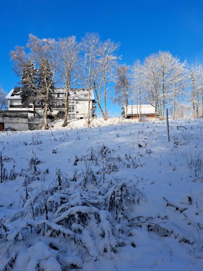Great Apartment Winterberg Woods Medebach Luaran gambar