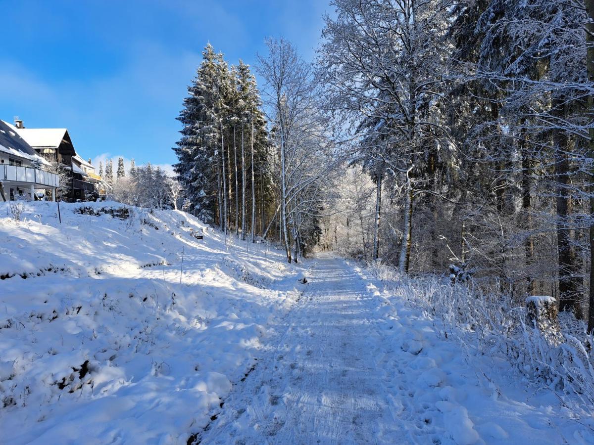Great Apartment Winterberg Woods Medebach Luaran gambar